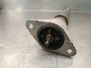 Stoßdämpfer Links Hinten AP3118080BE Ford B-Max (JK8) Großraumlimousine 1.0 EcoBoost 12V 100 (SFJB)