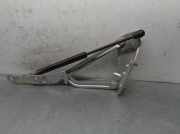 Gasdruckfedern Set Hinten 8200119497 Renault II Sedán (LM0/1_) 1.9 dCi (LM0G, LM1G, LM2C)