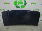 Motorhaube 9464567688 Fiat Scudo (220Z) Van 2.0 JTD 16V (DW10ATED4(RHW))