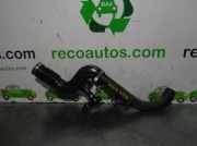 Schlauch Suzuki Baleno (GC/GD) Limousine 1.9 TDI (XUD9SD-L3(DHW))