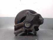 Achsschenkel Halter Links Vorne 2E0407303Q Volkswagen 30-50 Caja/Chasis (2F_) 2.5 TDI CECB(Euro 5)