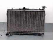 Radiator 2531029010 Hyundai (J2) 1.6 FX