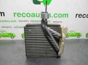 Klima Verdampfer Kia Carnival 2 (FIB/FLD) Großraumlimousine 2.9 HPDi 16V (J3(CRDI))