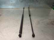 Gasdruckfedern Set Hinten 9625058580 Citroën Xantia (X1/2) Schrägheck 2.0 HDi 90 (DW10TD(RHY))