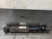 Stoßdämpfer Rechts Hinten 51984161 Fiat L LIVING (351) 1.3 16V M-Jet CAT