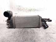 Ladeluftkühler 9637809480 Peugeot 406 (8B) Limousine 2.0 HDi 110 (DW10ATED(RHZ))