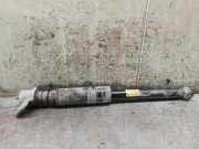 Sto?d?mpfer Links Hinten 95479783 Daewoo / Chevrolet Aveo Schr?gheck 1.2 16V (A12XER)