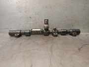 Einspritzdüsen Düsenstock A6650700495 SsangYong Rexton SUV 2.7 Xdi RX/RJ 270 16V (M665.925)