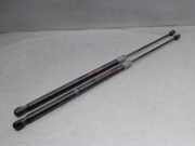 Gasdruckfeder Set Vorne A2049802164 Mercedes-Benz C (W204) Limousine 2.2 C-220 CDI 16V (OM646.811)