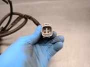 Grill 7804A7 Citroën CITROËN BREAK 1.9 Turbodiesel