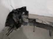 Lichtschalter 98422406YX Opel Combo Cargo Van 1.5 CDTI 100 (D15DT(DV5RC))