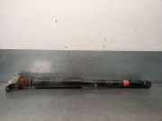 StoÃŸdÃ¤mpfer Links Hinten 1919324 Ford C-MAX (DM2) 1.6 TDCi
