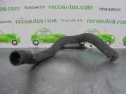 Schlauch 8200389509 Renault LAGUNA (B56) 1.9 dTi Diesel CAT