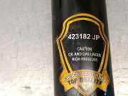 Stoßdämpfer Rechts Hinten 562102X800 Nissan Terrano II (R20/TR50) Geländewagen 3.0 Di 16V (ZD30DDTi)