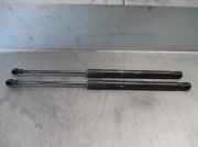 Gasdruckfedern Set Hinten 51247060622 BMW 1 serie (E87/87N) Schr?gheck 5-drs 120d 16V (N47-D20C)