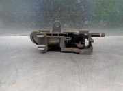 Türgriff Innen Links Vorne Citroën C1 Schrägheck 1.0 12V (384F(CFA))