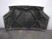 Motorhaube 4503736 Ford Transit Connect Van 1.8 Tddi (BHPA)