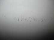 Tür Rechts Hinten 124607 Opel Vectra C Limousine 2.2 16V (Z22SE)