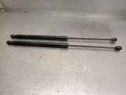 Gasdruckfedern Set Hinten 00520635010 Ford Focus 2 Schrägheck 1.6 TDCi 16V 110 (G8DB)