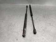 Gasdruckfedern Set Hinten Jaguar X-type Limousine 2.0 V6 24V (YB)