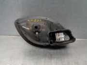 T?rgriff Innen Links Hinten 8200000723 Renault IV (JK0) 1.9 dCi Diesel