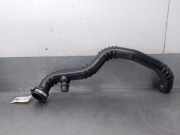 Schlauch BV616K863CC Ford Focus 3 SchrÃ¤gheck 1.6 EcoBoost 16V (JTDB)