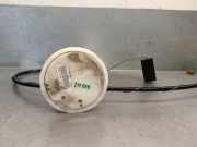 Tankschwimmer 25060JD50B Nissan Qashqai (J10) SUV 2.0 dCi (M9R(Euro 5))