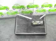 Klima Verdampfer 311006E0A Citroën Nemo (AA) Van 1.4 HDi 70 (DV4TD(8HS))