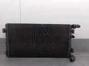 Radiator 1C0121201A Volkswagen New Beetle (9C1/9G1) Schrägheck 3-drs 1.9 TDI 90 (ALH) ALH