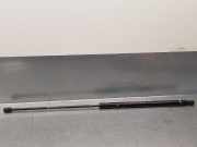 Gasdruckfedern Set Hinten 0K53Z62620A Kia Carnival 2 (FIB/FLD) Großraumlimousine 2.9 HPDi 16V (J3(CRDI))