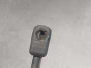 Gasdruckfeder Set Vorne 3C8823359 Volkswagen B7 (358) 2.0 TDI
