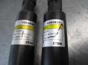 Stoßstange Vorne 620222226R Renault Scénic III (JZ) Großraumlimousine 1.5 dCi 105 (K9K-G832)