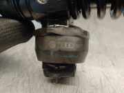 Kraftstoff-Injector 036130073BN Audi A3 (8P1) Schrägheck 3-drs 1.9 TDI (BLS)