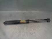 Gasdruckfedern Set Hinten 97KGB406A10AA Ford Ka I Schr?gheck 1.3i (A9A)