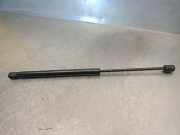 Gasdruckfedern Set Hinten 8731H8 Citroën C2 (JM) Schrägheck 3-drs 1.4 HDI (DV4TD(8HZ))