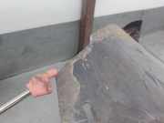 Sitz Rechts Vorne TELAGRISOSCURO Volkswagen Passat Variant (3C5) Kombi 2.0 TDI 16V Bluemotion (CBDC) CBDC