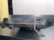 Radiator A1695000503 Mercedes-Benz A (W169) Schrägheck 1.5 A-160 (M266.920)