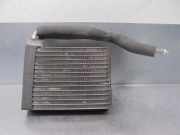 Klima Verdampfer 68038191AA Dodge 2.4