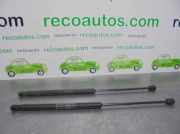 Gasdruckfeder Set Vorne 46784590 Fiat Stilo (192A/B) Schrägheck 1.6 16V 3-Drs. (182.B.6000)