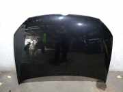 Motorhaube 6R0823031G Volkswagen Polo V (6R) Schrägheck 1.6 TDI 16V 90 (CAYB(Euro 5)) CAYB(Euro 5)
