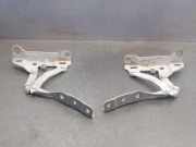 Motorhaubescharnier 66920N7000 Hyundai Tucson (NX) SUV 1.6 T-GDI HEV HTRAC (G4FP)
