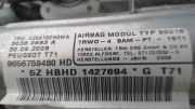 Seiten Airbag LINKS LINKS 9656759480 Peugeot 1.6 HDi FAP CAT (9HZ / DV6TED4)
