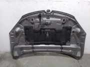 Motorhaube 651009018R Renault Megane III Berline (BZ) Schr?gheck 5-drs 1.9 dCi (F9Q-P872)