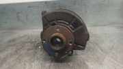 Achsschenkel Halter Links Vorne 6U0407255 Skoda FELICIA PICKUP 1.9 Diesel CAT