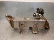 Agr Kühler H8200620695 Nissan Qashqai (J10) SUV 2.0 dCi (M9R(Euro 5))