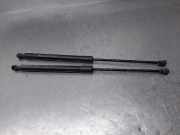 Gasdruckfedern Set Hinten 9683733980 Citroën C3 (SC) Schrägheck 5-drs 1.4 HDi (DV4TD(8HZ))