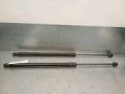Gasdruckfedern Set Hinten 5NA827550B Volkswagen (AD1, AX1) 2.0 TDI 4motion