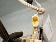 Antenne 283635565R Renault Koleos II (RZGH) SUV 2.0 dCi 4x4 (M9R-A8)