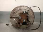 Achsschenkel Halter Rechts Hinten 430420279R Renault GRAND SCÃ‰NIC IV (R9_) 1.3 TCe 140