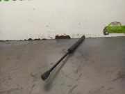 Gasdruckfeder Set Vorne 654704175R Dacia 1.6 CAT